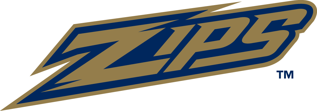 Akron Zips 2002-Pres Wordmark Logo v2 iron on transfers for clothing